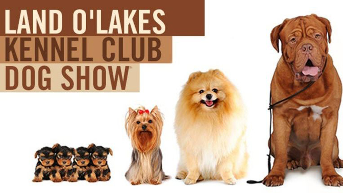 Watch!! Land O'Lakes Kennel Club Dog Show 2023 Live Stream